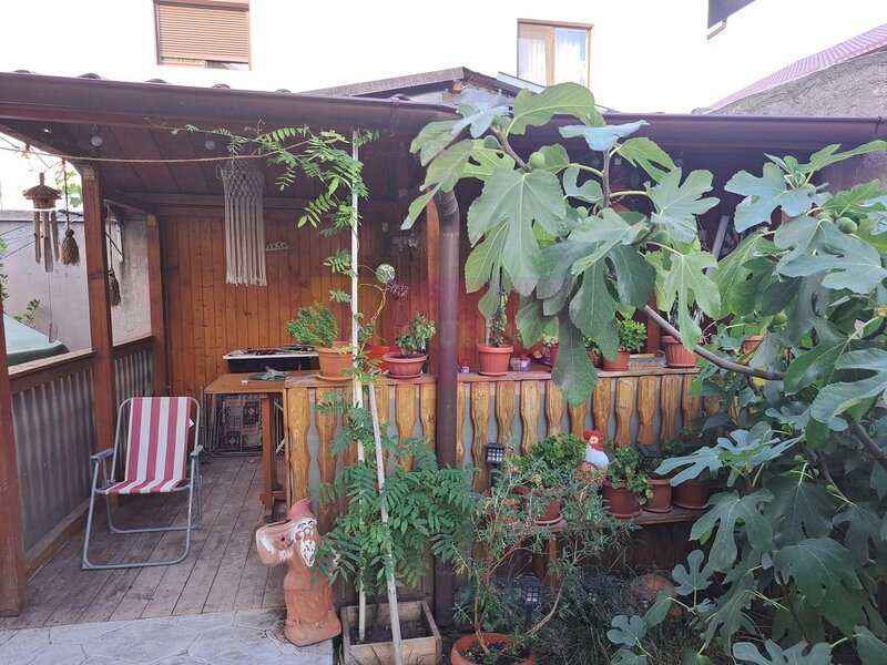 Casa de vanzare in Bragadiru